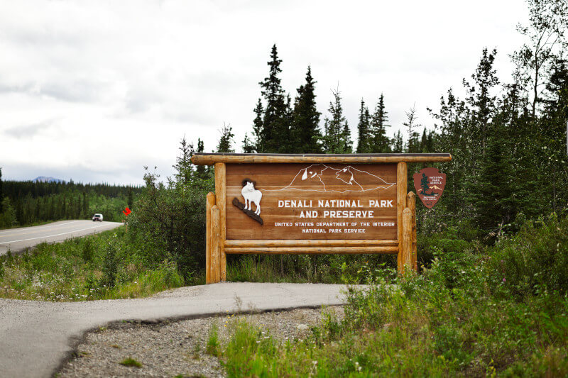 forest with a sign that says Denali National Park from blog post Alaska Cruise Guide